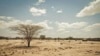 La région de Turkana, au Kenya, offre un exemple des effets de la sécheresse dans la Corne de l'Afrique