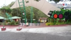 Debilitada la economía de los zoológicos por falta de visitantes