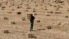 UN Pushes 'Smart Crops' as Rice Alternative to Tackle Hunger in Asia