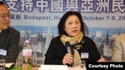高瑜2012年10月在布達佩斯全球支持中國和亞洲民主化論壇大會上演講（資料照片）