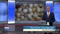 روی خط: نرخ‌ اقلام خوراکی و کالاهای اساسی؛ روندی پرشتاب به سوی بالا