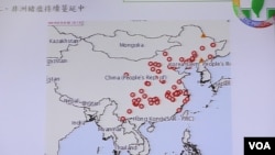 台灣立法院內政委員會有關非洲豬瘟在中國的質詢圖表（美國之音張永泰拍攝）