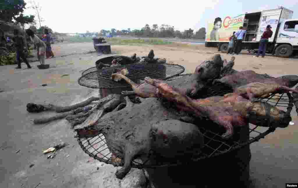 De la viande de brousse en train d’être séchée près d'une route de l'autoroute Yamoussoukro le long de laquelle des passants marchent, le 29 mars 2014. REUTERS / Thierry Gouégnon.