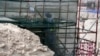 Labor Expert Urges Caution Before Workers Sent to Qatar