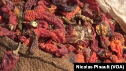 Le poivron rouge de Diffa, aussi appelé l'or rouge du Manga. 1er mars 2016. (VOA/Nicolas Pinault)