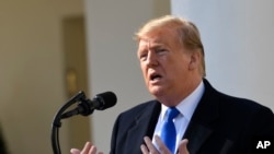 Le président Donald Trump dans le jardin de la Maison Blanche, Washington, le 15 février 2019.