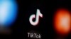 FILE - A TikTok logo is displayed on a smartphone in this illustration,