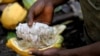 Vente du cacao ivoirien; subvention des des semi-conducteurs américains