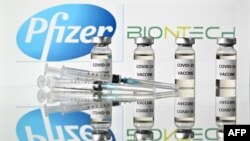 輝瑞/生物科技新冠病毒疫苗。