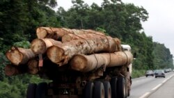 Accord de financement entre Brazzaville et la BEDEAC; vente par anticipation du cacao ivoirien