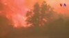 La Californie lutte contre les incendies