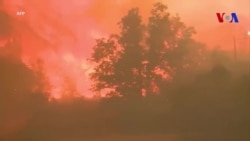 La Californie lutte contre les incendies