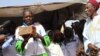 Nouvelle attaque jihadiste contre l'armée nigérienne près de Diffa