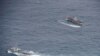 Barcos ecuatorianos rodean a un pesquero después de detectar embarcaciones chinas cerca de las islas Galápagos el 7 de agosto de 2020.