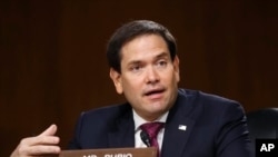 美國聯邦參議員馬克·魯比奧（Marco Rubio）（美聯社 資料照）