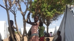 Mais de 100 mil familias em risco de fome em Manica