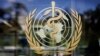 FILE - The logo of the World Health Organization is seen at WHO headquarters in Geneva, Switzerland.
