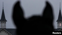 A post horse stands across from the Twin Spires on May 4, 2024, ahead of the 150th running of the Kentucky Derby at Churchill Downs in Louisville, Kentucky. (USA TODAY via Reuters)