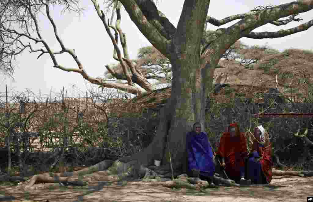 Des Massaï assis sous un arbre de l'ombre dans un village à la périphérie de Serengeti, dans le nord de la Tanzanie, lundi 12 août 2013. Les Massaïs migrent d'un endroit à l'autre pour trouver de nouveaux pâturages pour leur bétail. Ils vont jusqu'à trois jours sans eau potable.