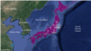 Japon : avis de risque de tsunami levé sur l'ensemble des zones concernées 