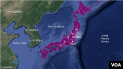 L'épicentre approximatif du séisme, près deTomioka, au Japon.