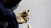 Un médecin remplit une seringue de COVAXIN, un vaccin expérimental COVID-19 soutenu par le gouvernement indien, avant de l'administrer à un agent de santé lors de ses essais, à la Gujarat Medical Education and Research Society à Ahmedabad, en Inde, le 26 novembre 2020.