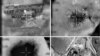 Montage de photos avec des images fournies par l’armée israélienne montre une vue aérienne d’un réacteur nucléaire syrien présumé lors du bombardement de 2007.
