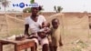 VOA60 Afrique du 11 août 2016