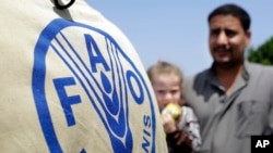 D'après la FAO, la Syrie, l'Irak, le Yémen, le Soudan et la Libye sont menacés de famine.