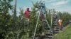 Rural America Braces for Labor Shortages After Immigration Crackdown