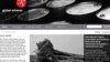 Report Finds Vietnamese Rubber Companies Behind Land Grabs