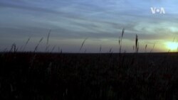 Kansas Art Community 