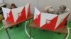 Poland Presidential Election