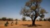 Plus d'un million de personnes ont besoin d'aide humanitaire