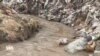 L'OMS tire la sonnette d'alarme sur l'eau contaminée