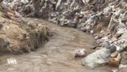 L'OMS tire la sonnette d'alarme sur l'eau contaminée