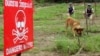 Four Americans Wounded at Demining Center Explosion