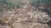 បណ្តាញ​សហគមន៍​ព្រៃឡង់​រក​ឃើញ​គម្រប​ព្រៃឈើ​ជាង​១០​ម៉ឺន​ហិកតា​បាត់បង់​ក្នុង​ឆ្នាំ​២០២២