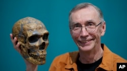 瑞典科學家斯萬特·帕博（Svante Paabo）2022年10月3日在德國萊比錫手持尼安德特人骨骼的複製品。（美聯社照片）