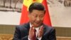 中国国家主席习近平 （资料照片）