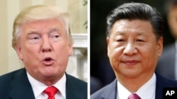 美國總統川普(左)，中國國家主席習近平