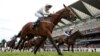 Première femme jockey de haut niveau au Qatar