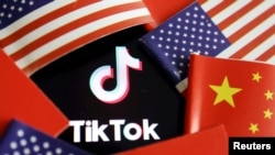 教育選民或是虛假宣傳？ TikTok推出美國大選指南惹疑慮