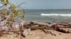 16x9 Image