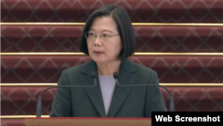 2020年3月19日台灣總統蔡英文在台北總統府針對新冠病毒疫情發表講話。 （台灣總統府視頻截圖）