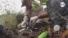 Sin recursos y con poco personal, la paleontología en Venezuela está en extinción (Afiliadas)