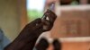 Un vaccin antipaludique autorisé pour les enfants au Burkina Faso