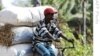 Sénégal : la violence en Casamance inquiète les milieux d’affaires