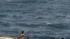 Maputo e Pretória unem esforços contra a pirataria