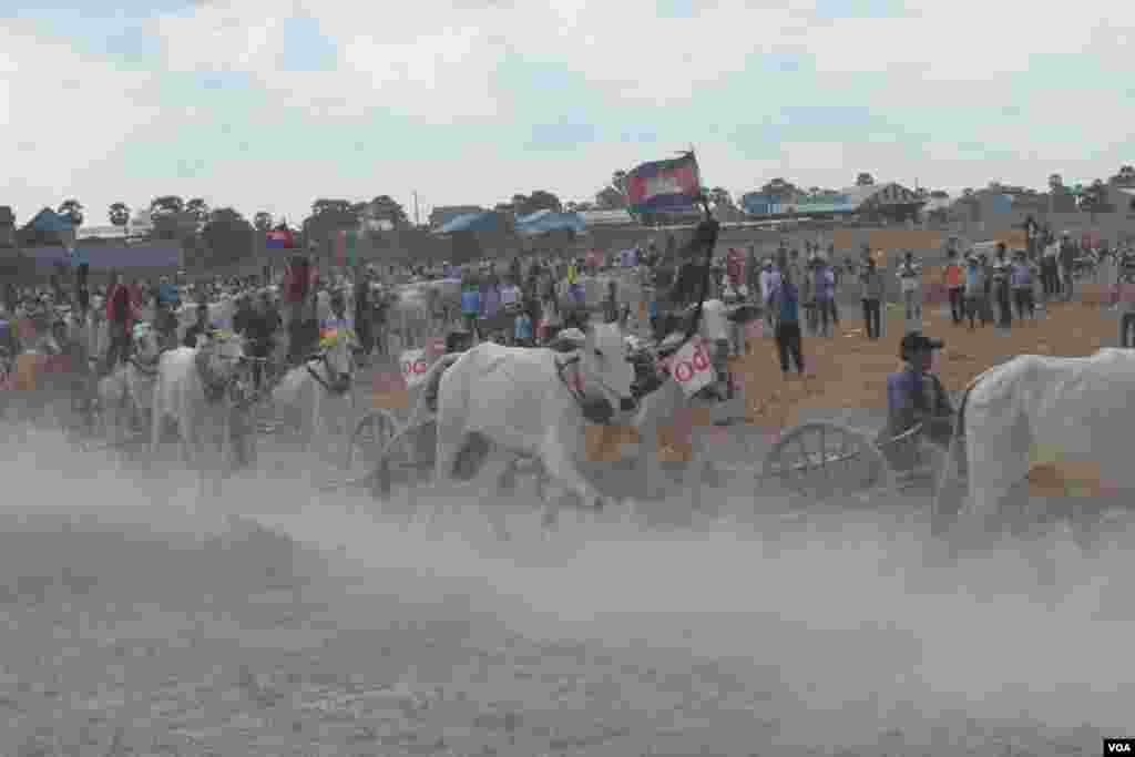 សកម្មភាពក្នុងពេលប្រណាំងរទេះសាឡីគោនៅឃុំរលាំងគ្រើល ស្រុកសំរោងទោង ខេត្តកំពង់ស្ពឺ កាលពីថ្ងៃទី០៧ ខែមេសា ឆ្នាំ២០១៩។ (ណឹម សុភ័ក្រ្តបញ្ញា/VOA)